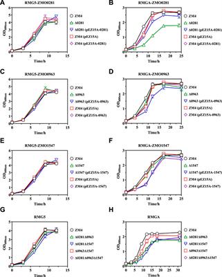 Systematic investigation of TetR-family transcriptional regulators and their roles on lignocellulosic inhibitor acetate tolerance in Zymomonas mobilis